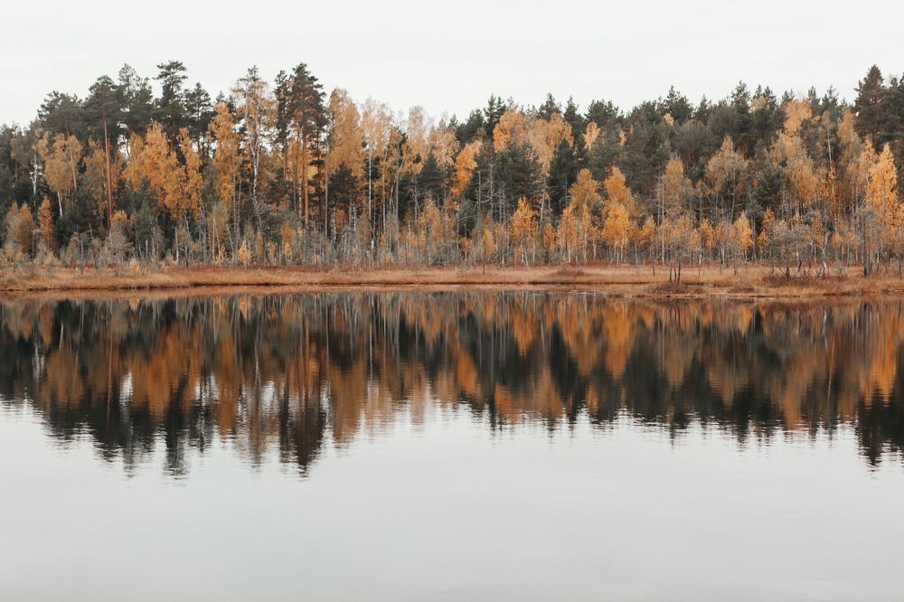 Photograph by Любовь Нефедова