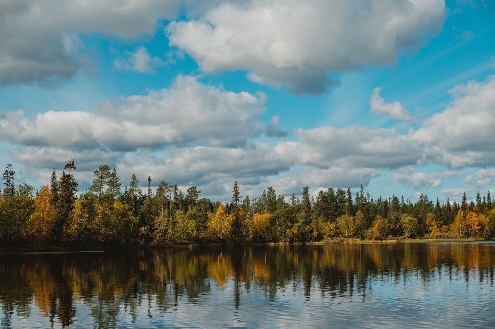 Photograph by Наталья Могилевская