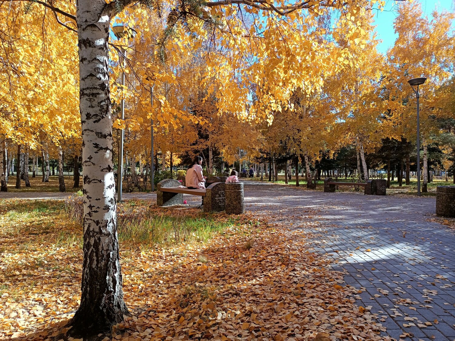 Photo #6719204