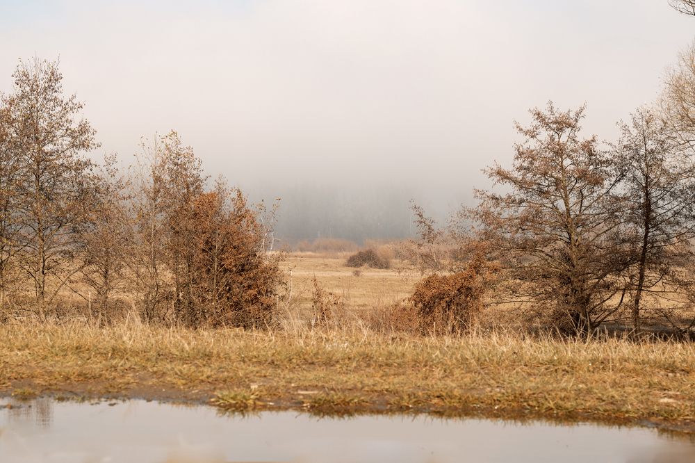 Photograph by Олеся Бучацька