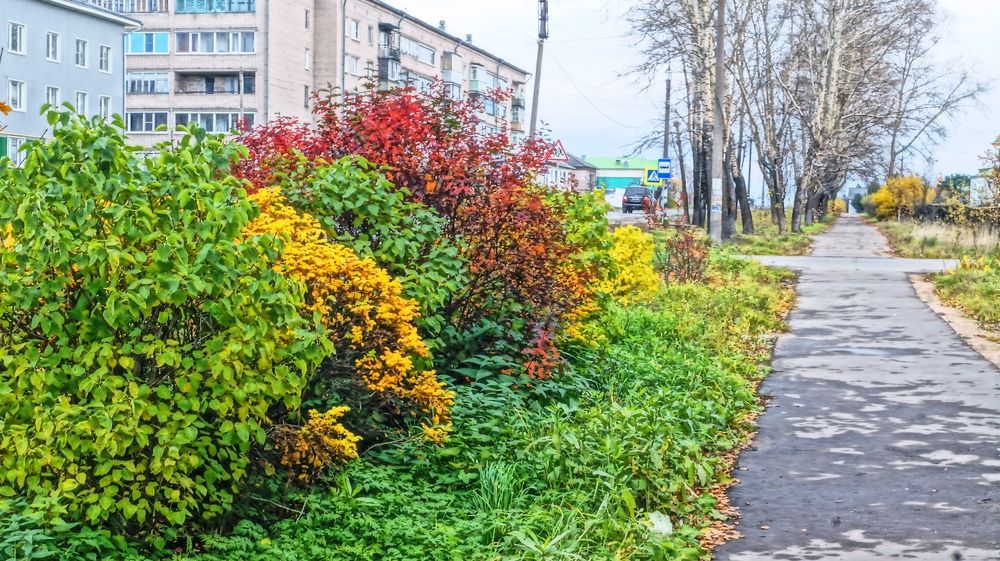 Photograph by Мальцева Ольга