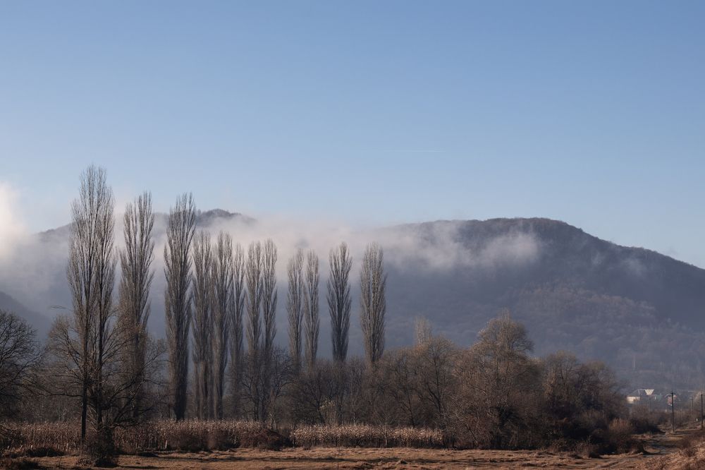 Photograph by Олеся Бучацька