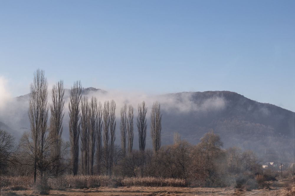 Photograph by Олеся Бучацька