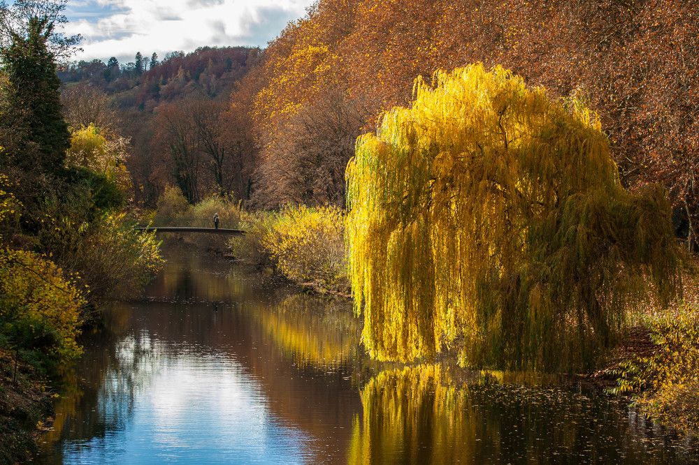 Photograph by Dmitry Shvarev