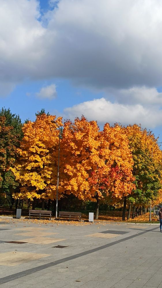 Photograph by Tania Yakushina