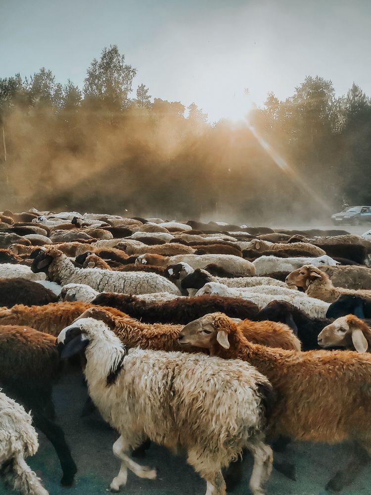 Photograph by Yuliya Ivanova