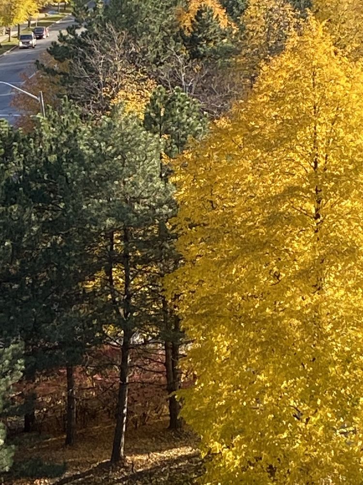 Photograph by Zeni Shariff