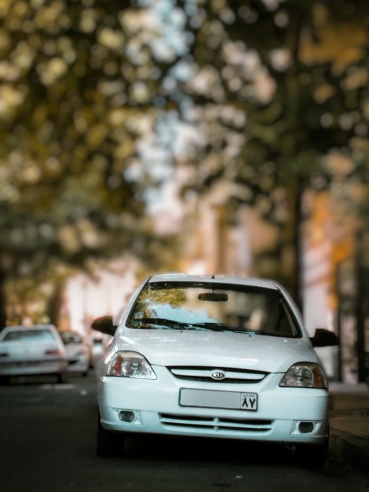 Photograph by Mohammad Amin Karimi