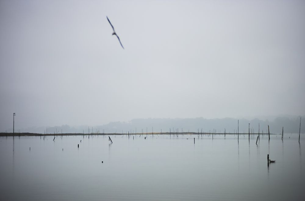 Фотография автора Fernando Comeche