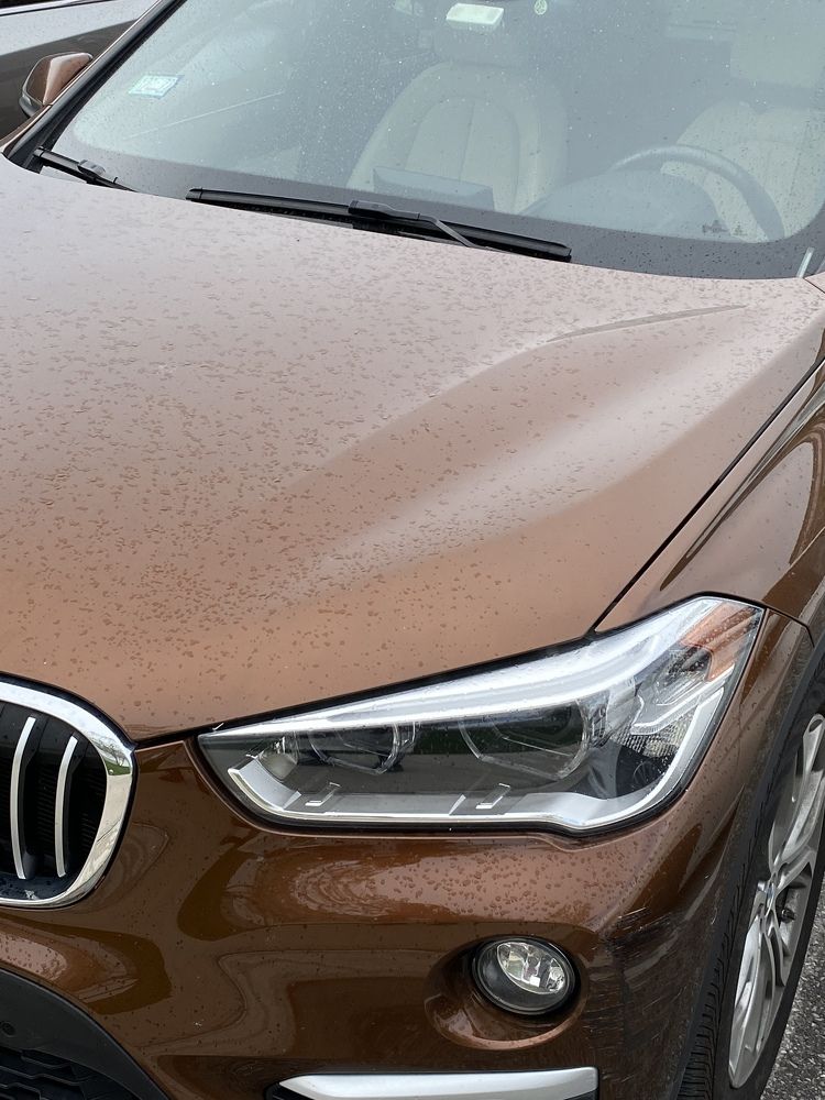 Photograph by Zeni Shariff