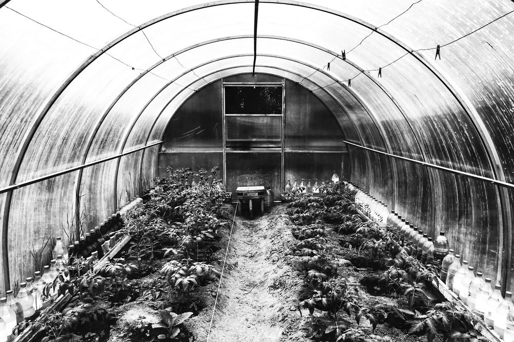 Фотография автора Гудкова Светлана