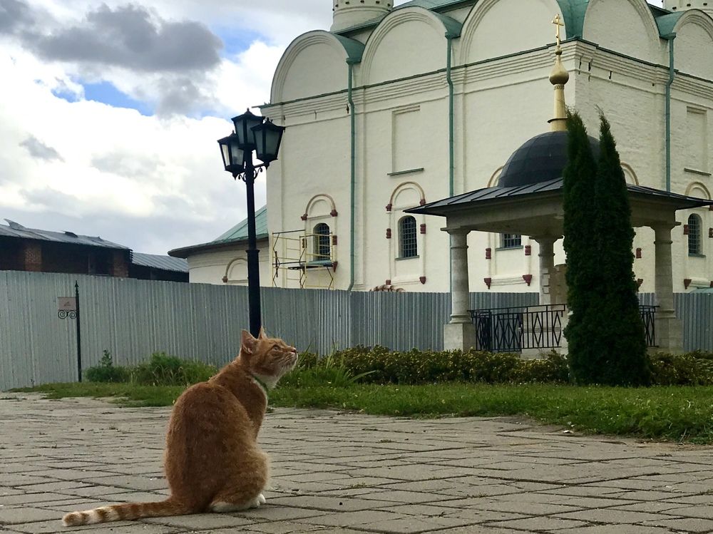 Photograph by Григорий Лыжин