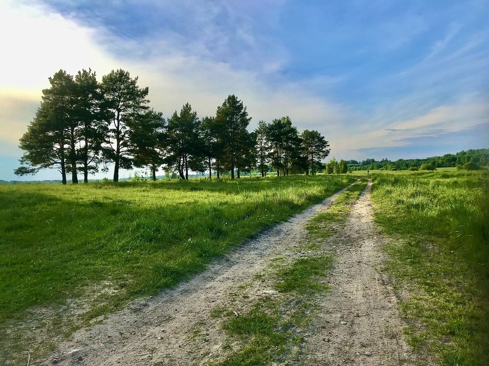 Photograph by Григорий Лыжин