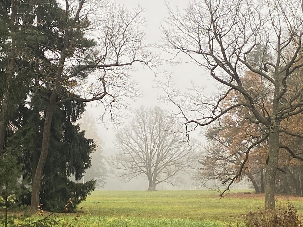 Photograph by Ива