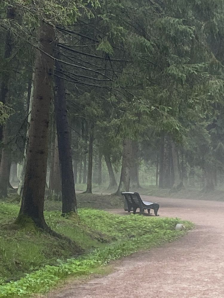 Photograph by Ива