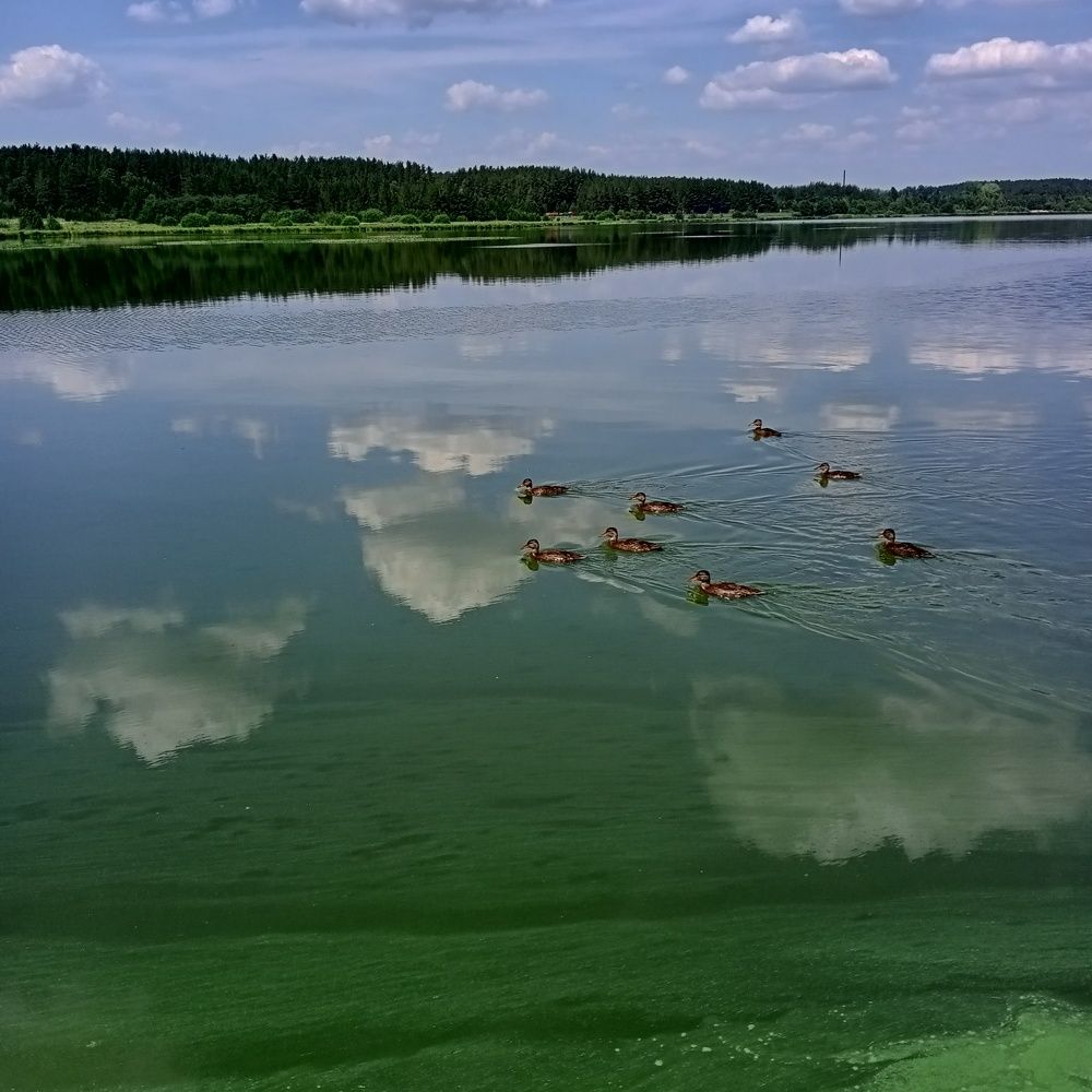 Photo #6719558