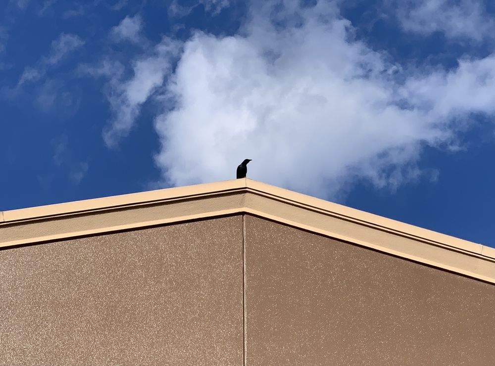 Photograph by Анастасия