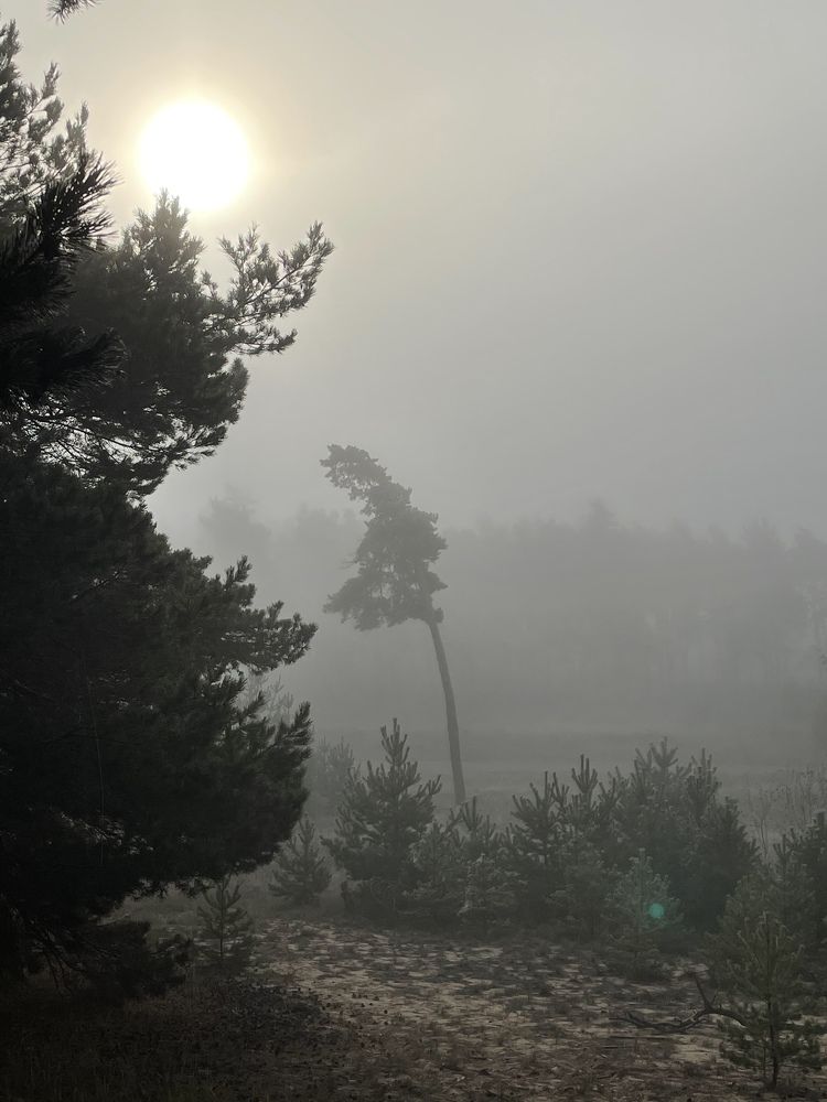 Photograph by Антон Мусинский