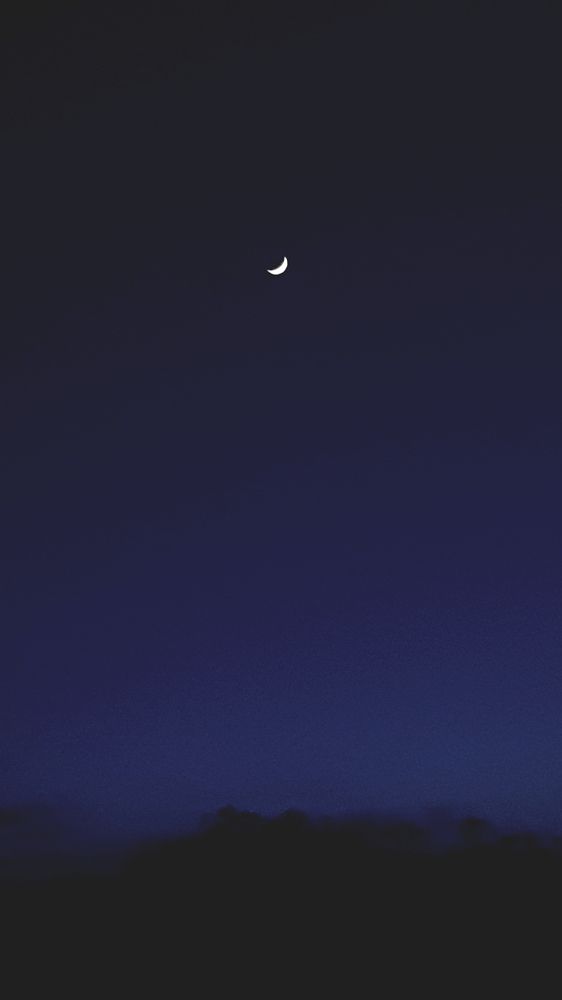 Photograph by Mohammad Mahdi khojasteh