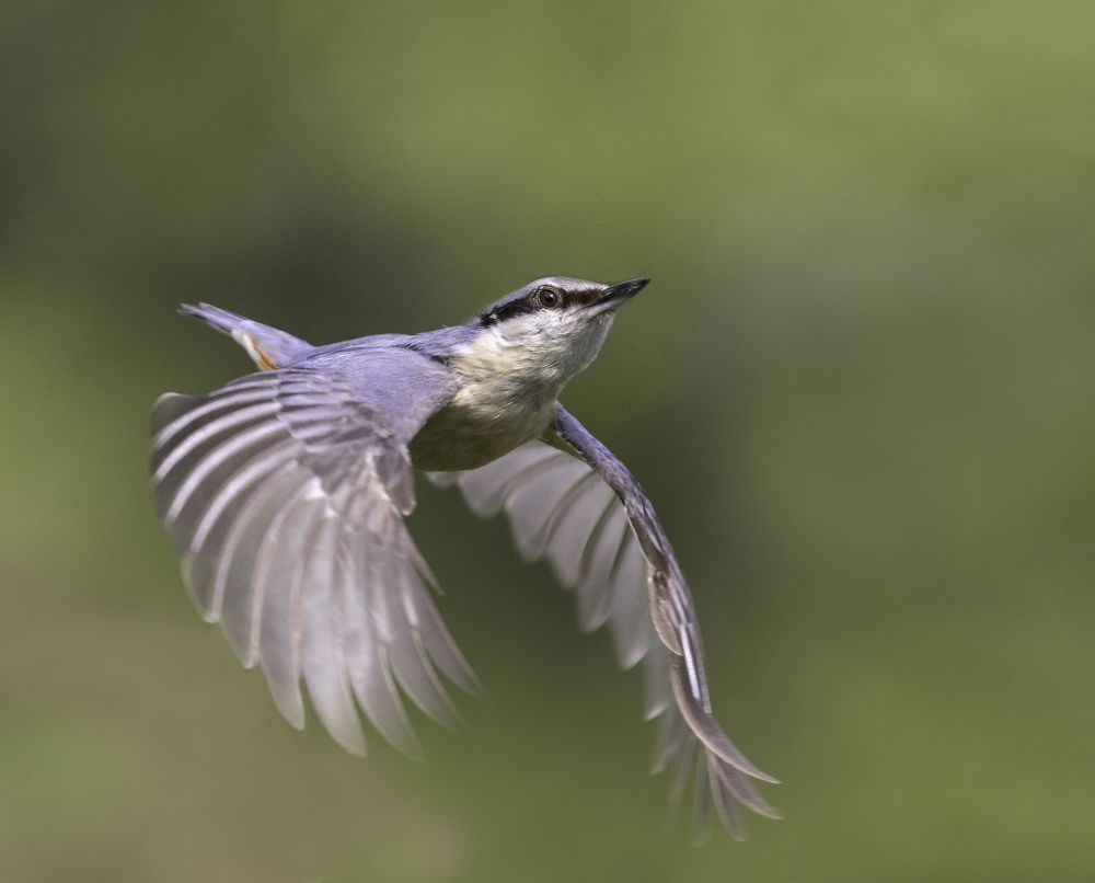 Photograph by Eddie Leach