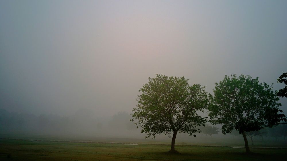 Photograph by Kamal Kishore Srivastava