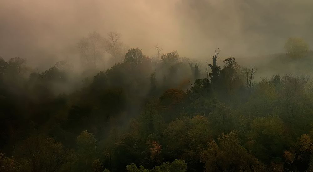 сезон туманов