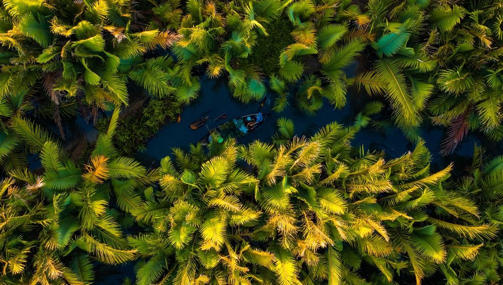 Photograph by Minh Tú Nguyễn