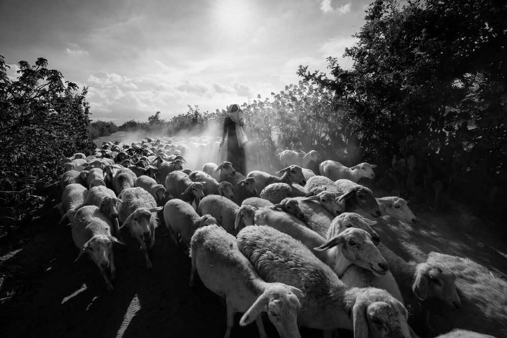 Photograph by Minh Tú Nguyễn