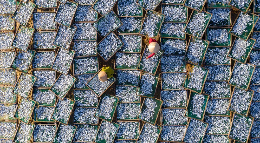 Photograph by Minh Tú Nguyễn