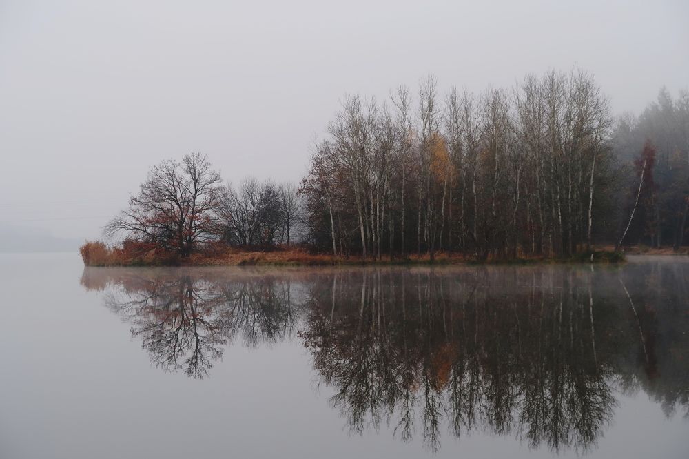 Foggy autumn morning by the lake