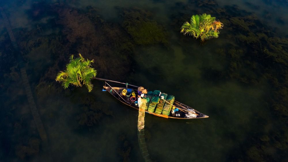 Photograph by Minh Tú Nguyễn