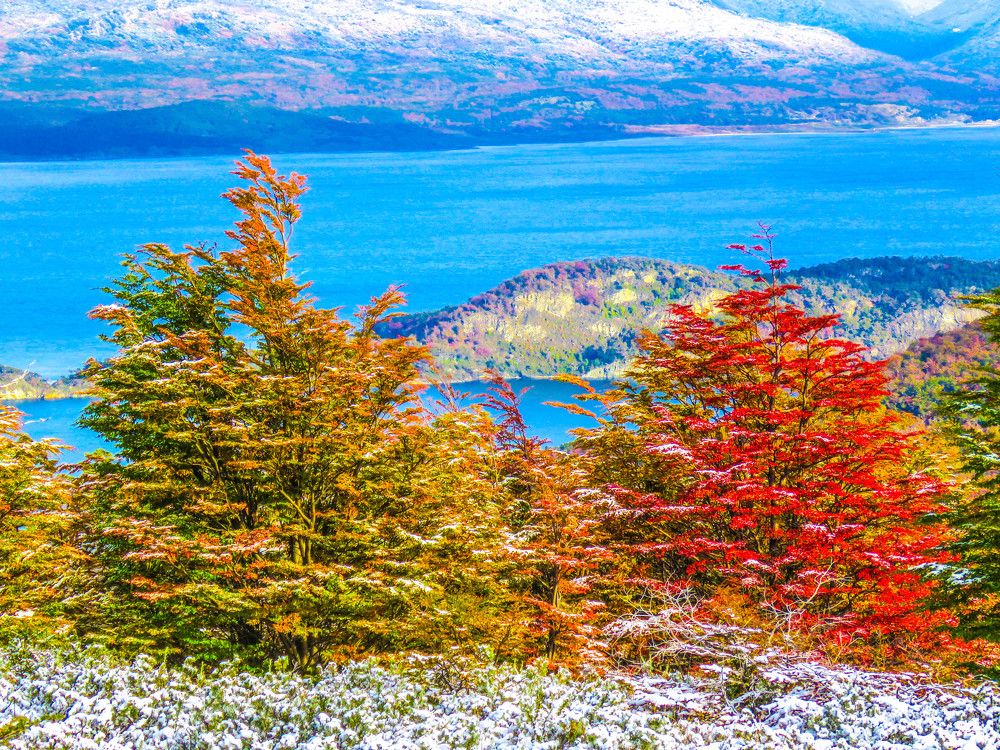 Фотография автора Raul Torres