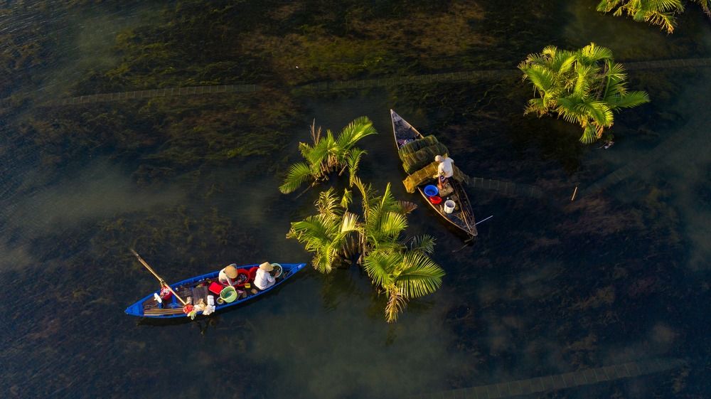 Photograph by Minh Tú Nguyễn