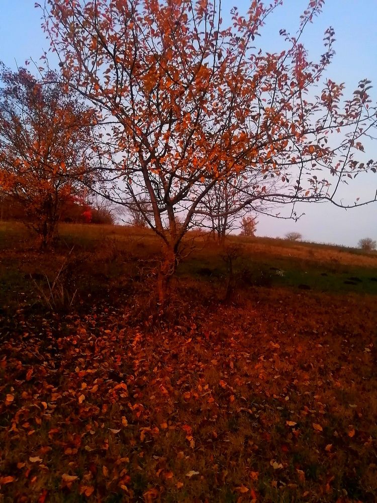 Photograph by Анна Володина