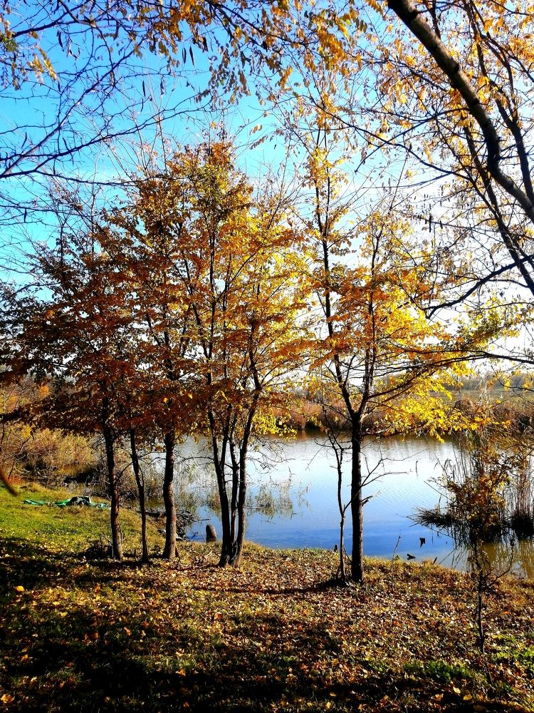 Photograph by Анна Володина