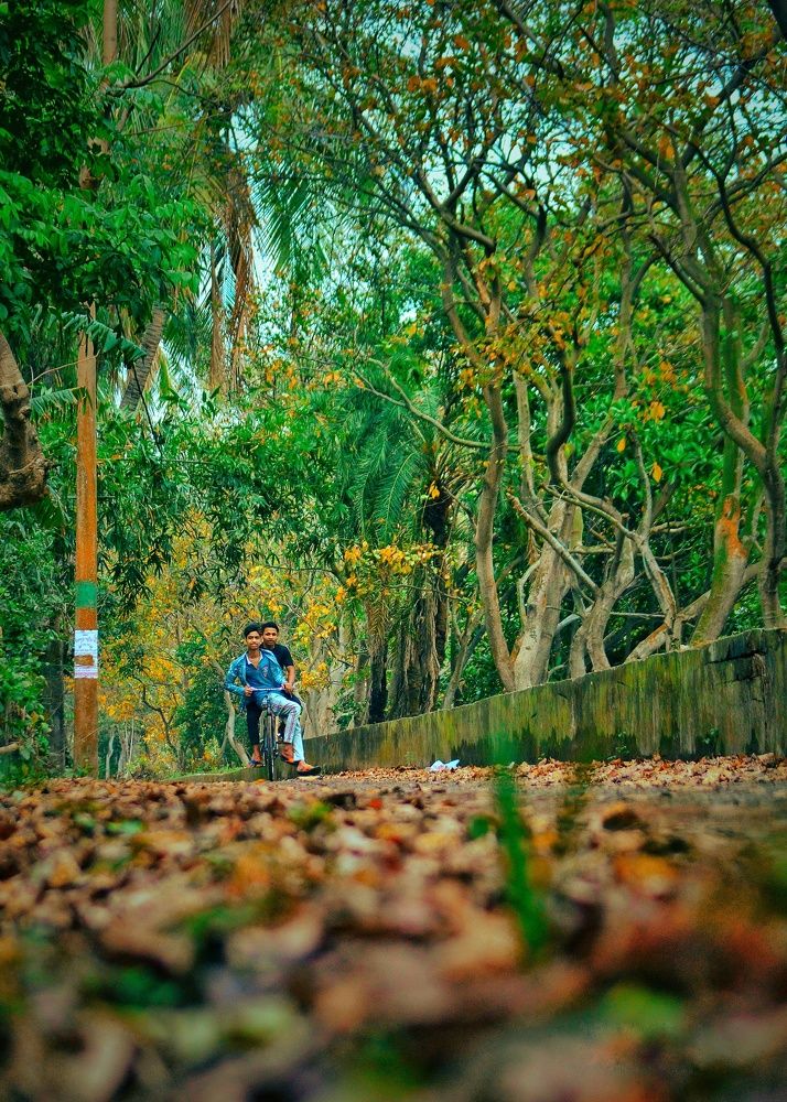 Photograph by Amit Dalal