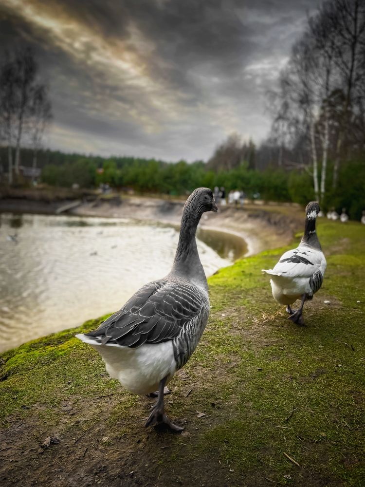 Photograph by Андрей Шитов