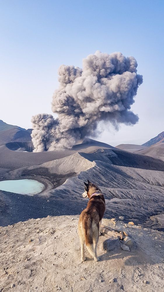 Photograph by Елена Котенко