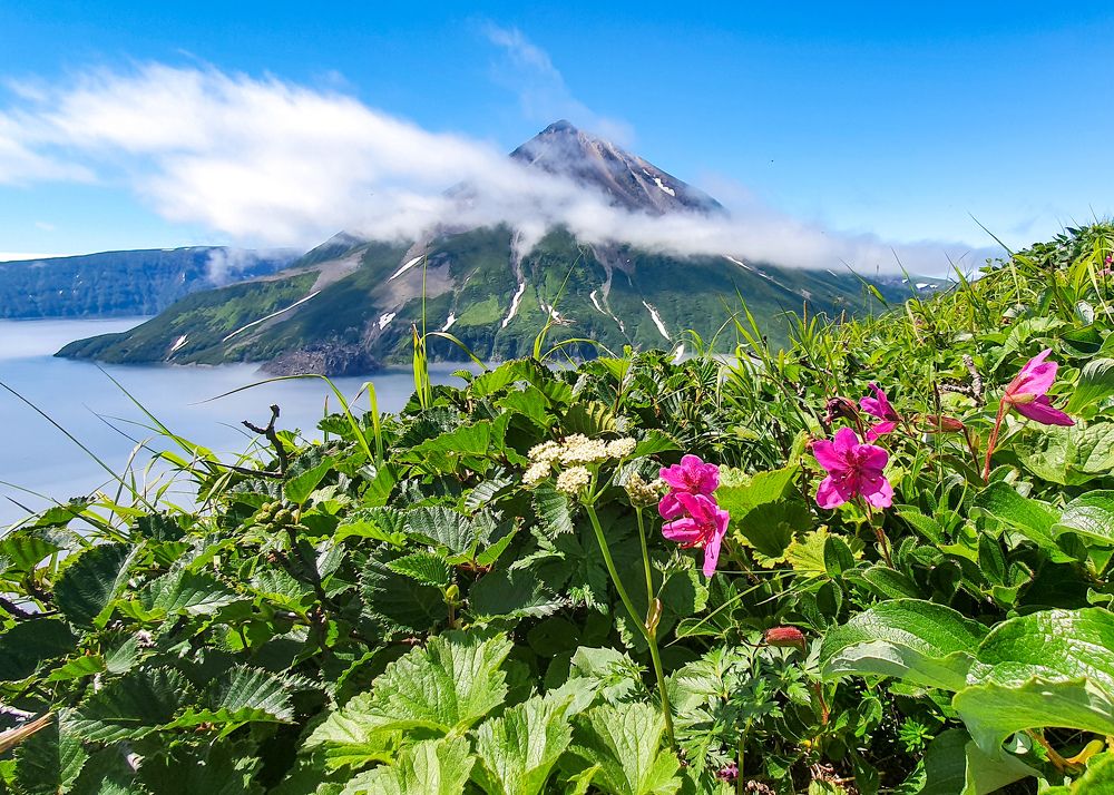 Photograph by Елена Котенко