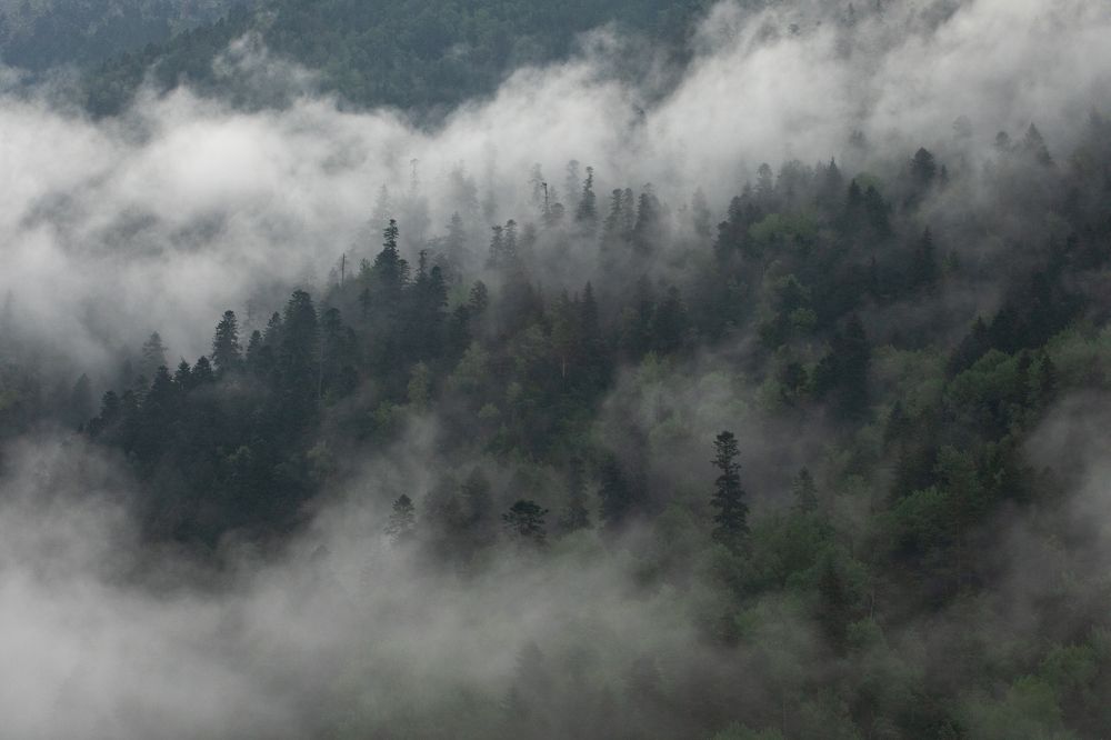 Photograph by Андраханов Олег