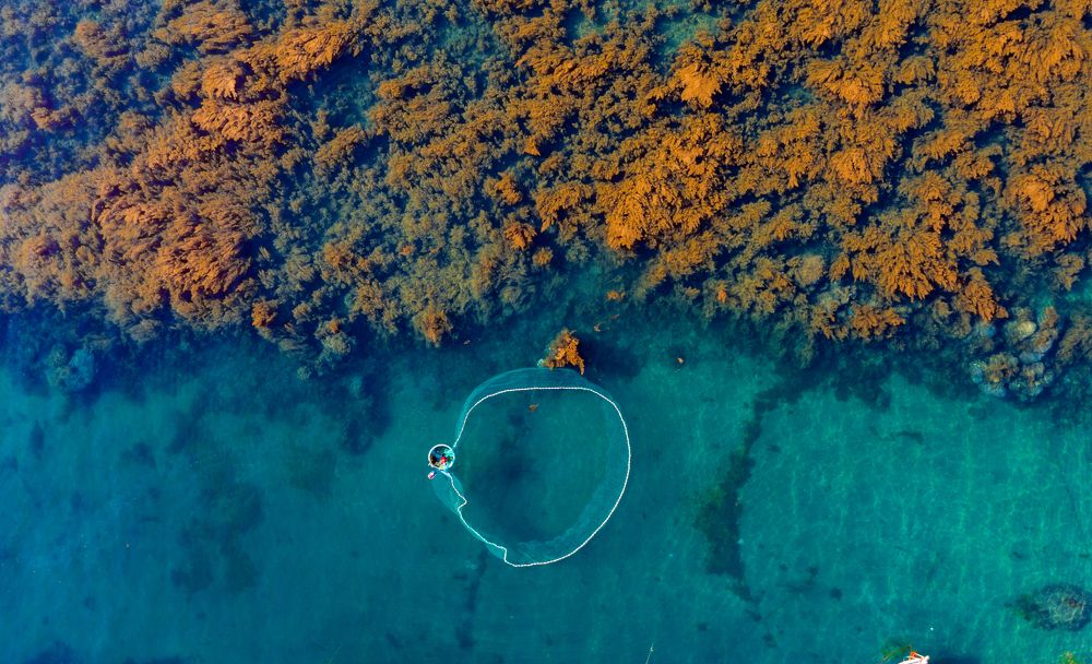 Photograph by Minh Tú Nguyễn