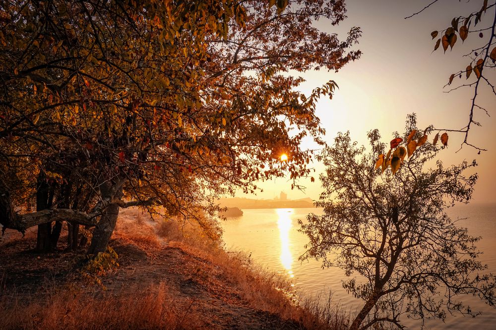 Photograph by Станислав Илюк