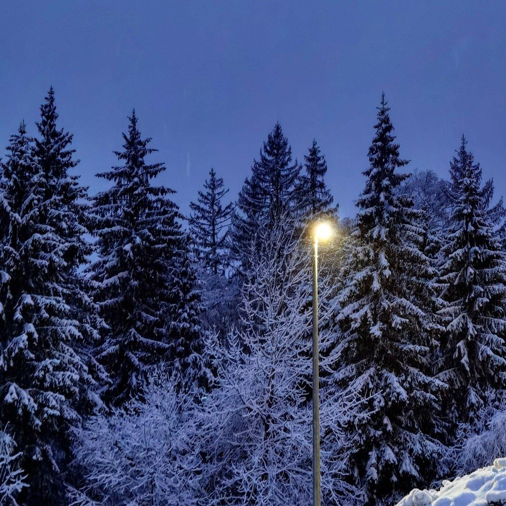 Photograph by Ольга