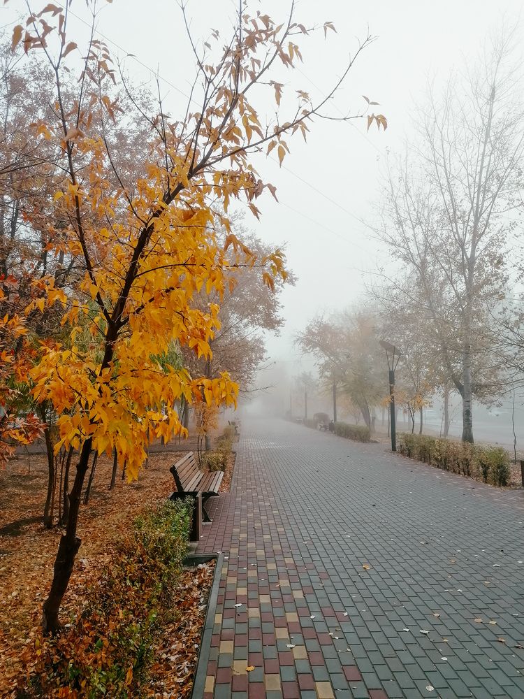 Photograph by Екатерина Комарова