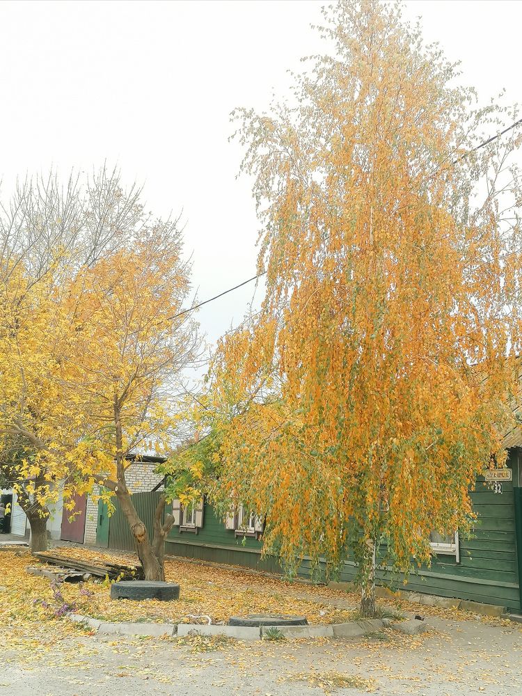 Photograph by Екатерина Комарова