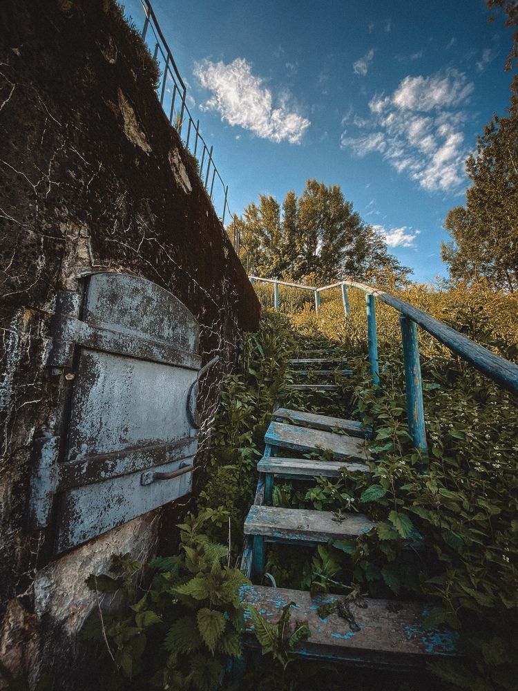 Сквозь время