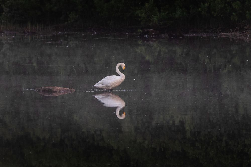 Photograph by Ingemars Vekteris