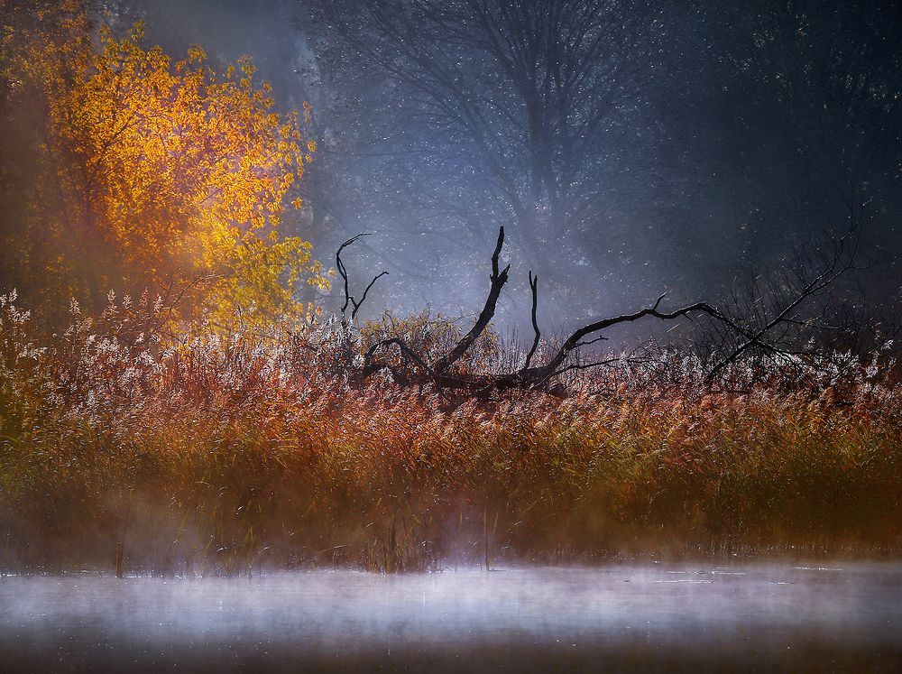 Осень на реке Пирита.