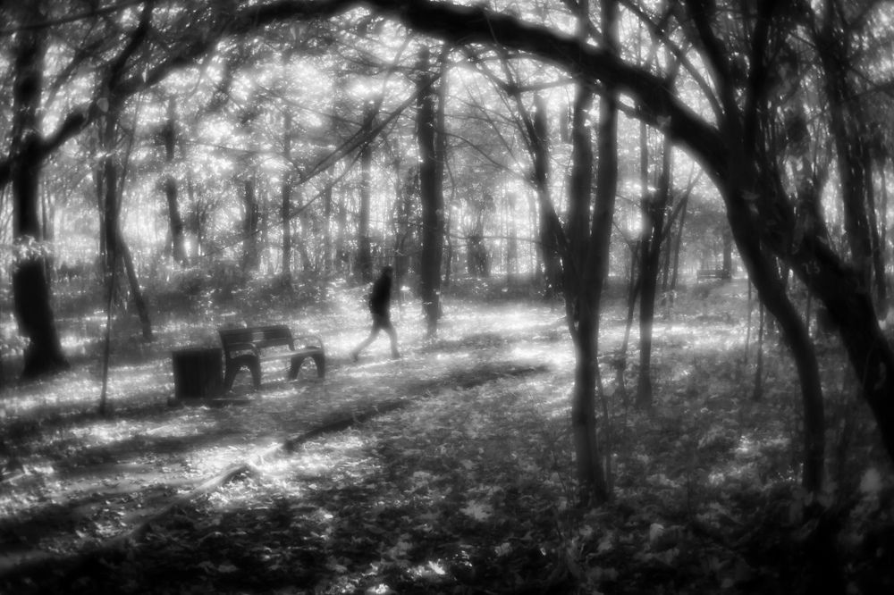 Photograph by Ирина Назарова