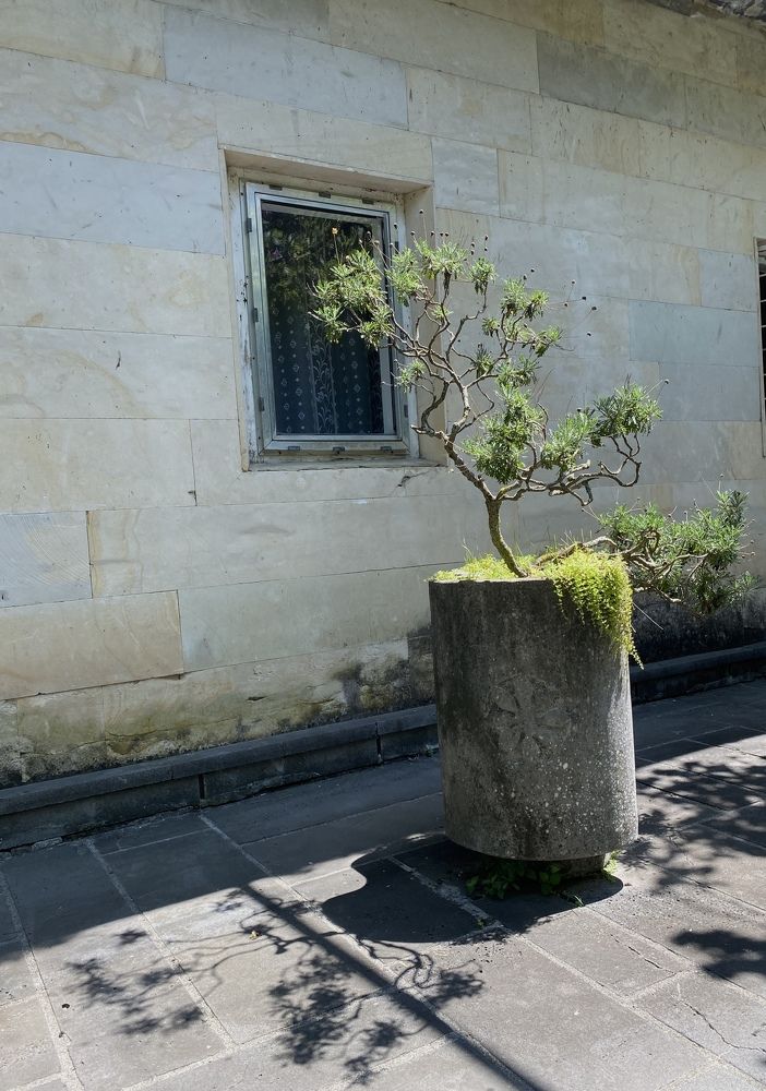 Photograph by Юлия Литвинова